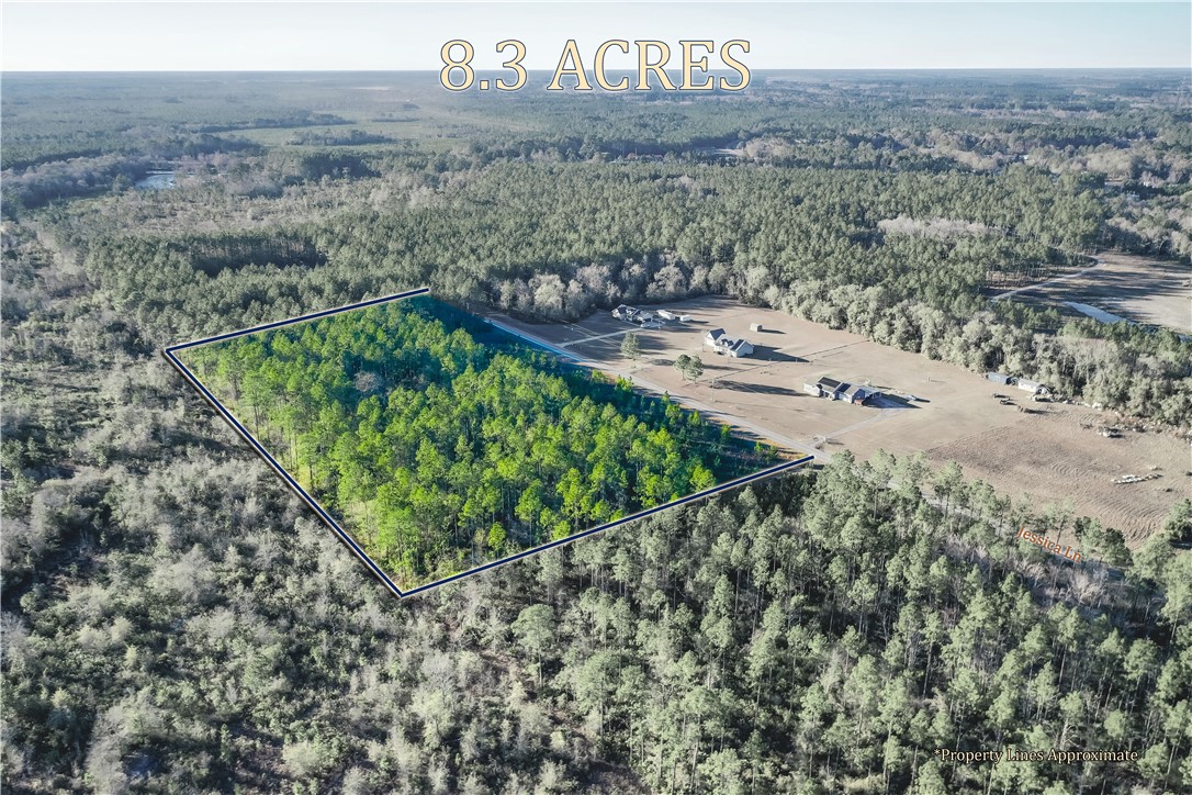 2 Jessica Lane Patterson, GA 31557 - Photo 3 of 13