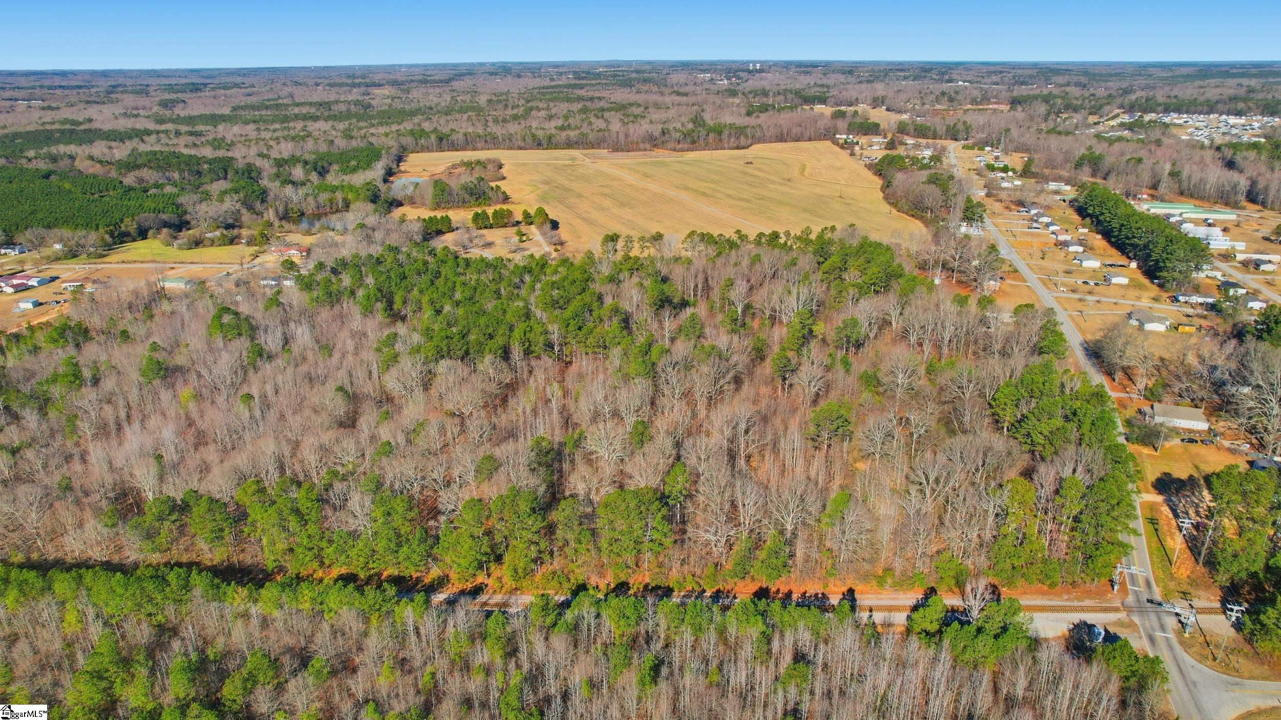 0 Apple Orchard Road Clinton, SC 29325 - Photo 3 of 22