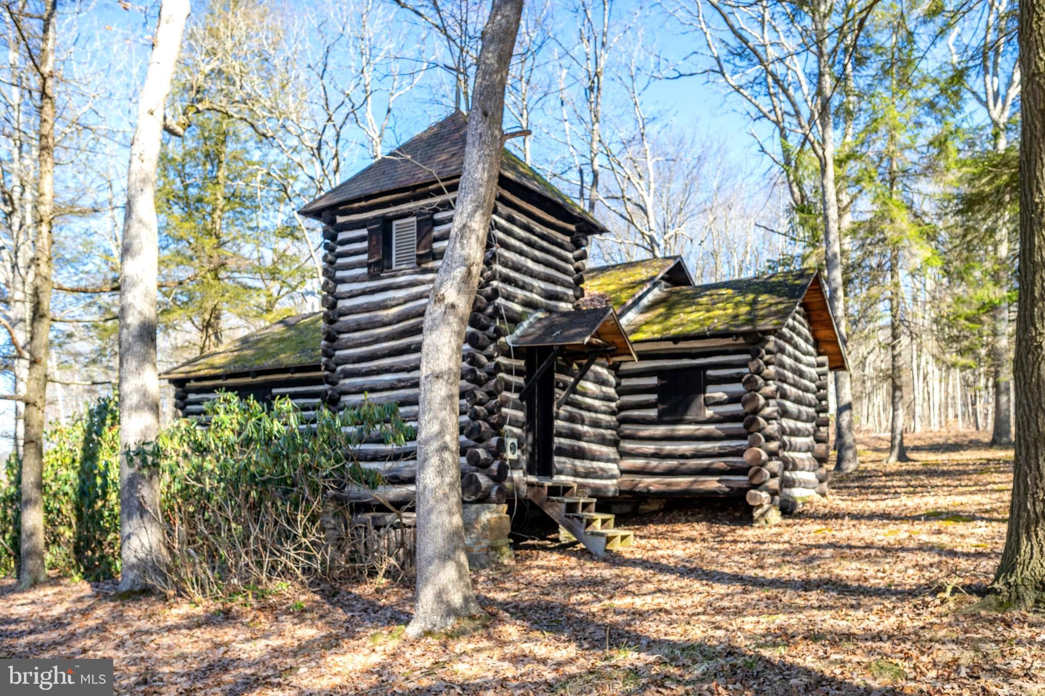 36 Old Wilson Road Swanton, MD 21561 - Photo 1 of 19