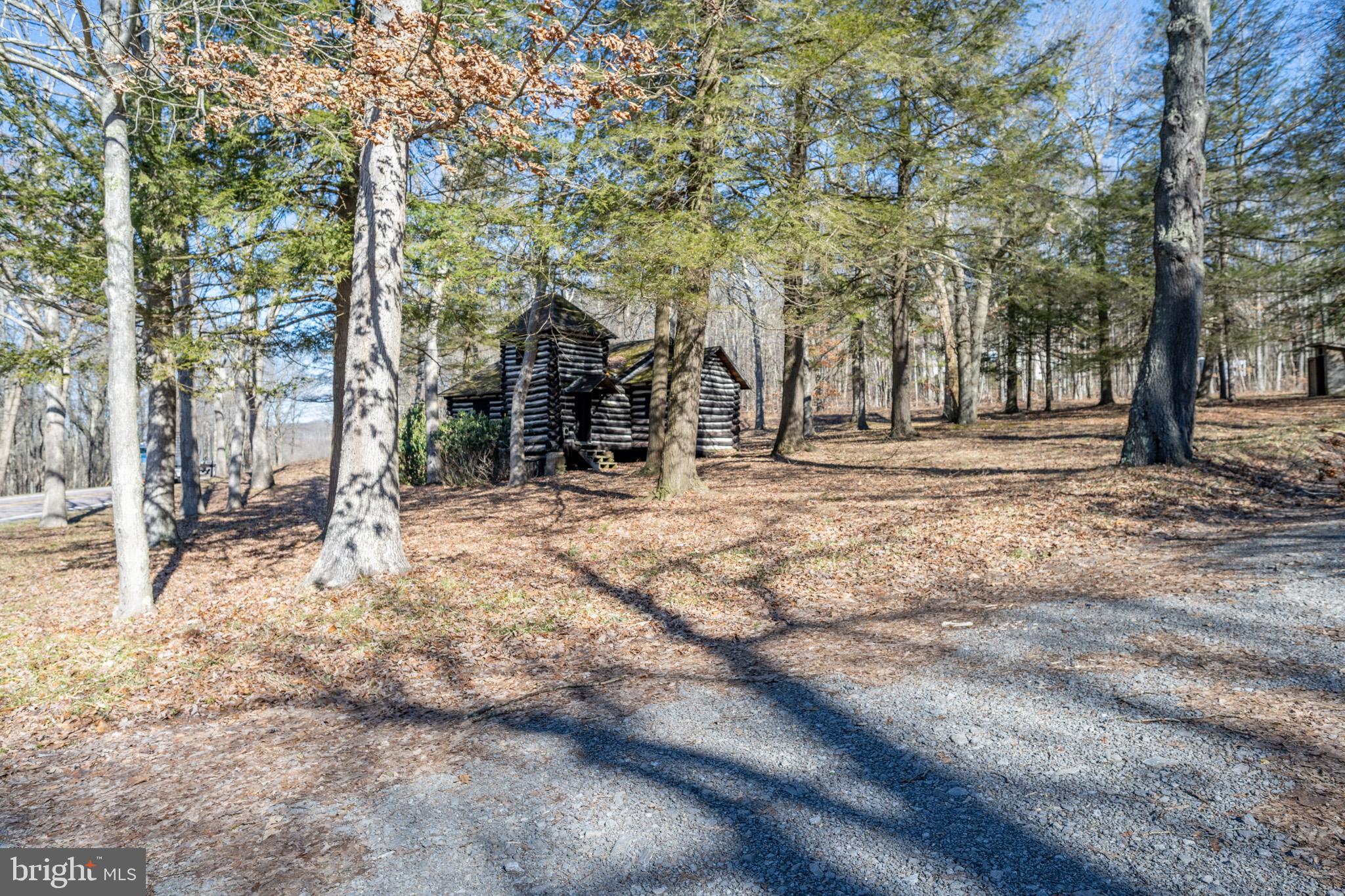 36 Old Wilson Road Swanton, MD 21561 - Photo 15 of 19