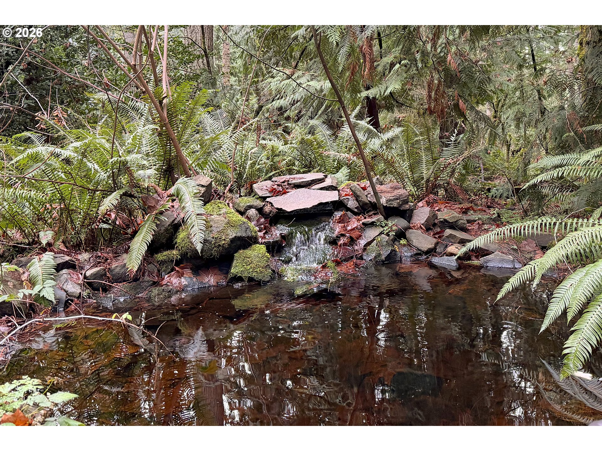 18031 Southeast 370th Avenue Sandy, OR 97055 - Photo 19 of 24 a view of a tree