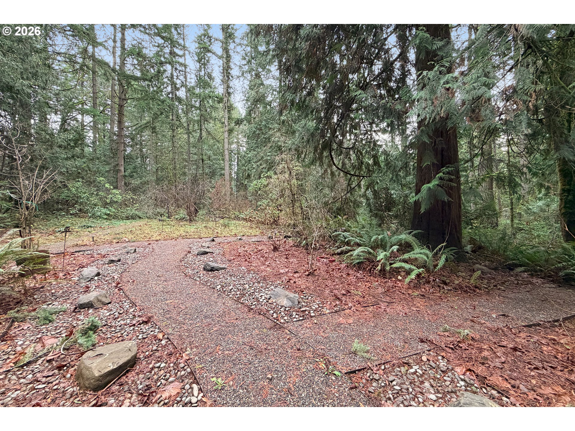 18031 Southeast 370th Avenue Sandy, OR 97055 - Photo 20 of 24 a view of a dry yard with trees