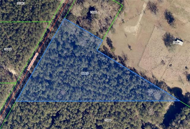 Tbd Lavinghouse Road Bush, LA 70431 - Photo 3 of 3
