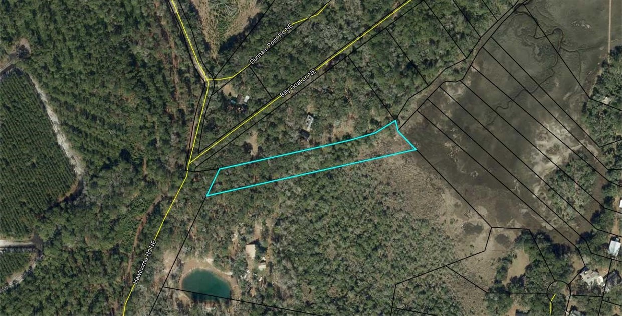 2153 Hawthorne Road Northeast Townsend, GA 31331 - Photo 2 of 2