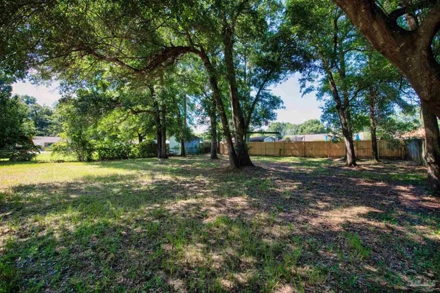 a view of a yard with tree s