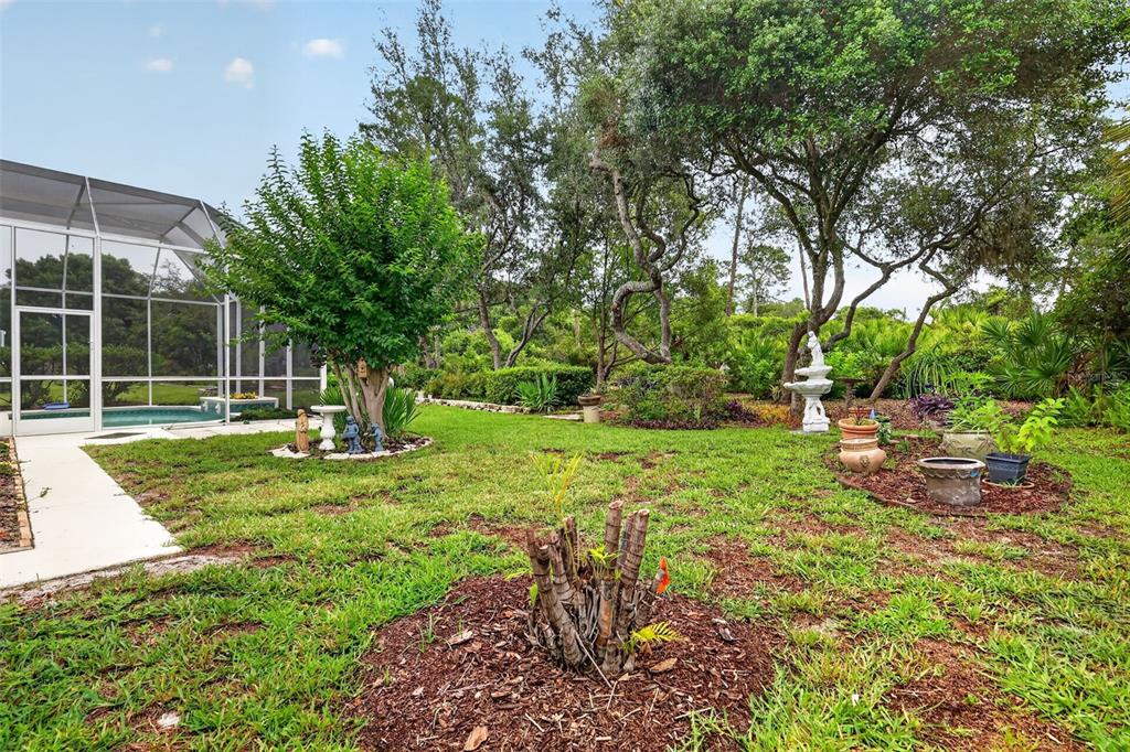 9035 Laurel Ridge Drive Mount Dora, FL 32757 - Photo 39 of 40