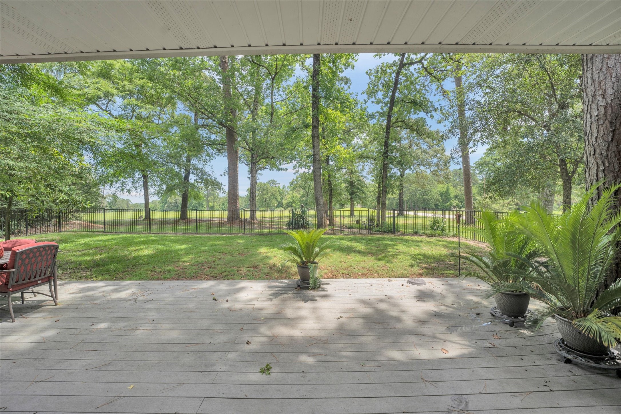 24400 Pine Valley Point Blank, TX 77364 - Photo 39 of 50 a view of a park with large trees