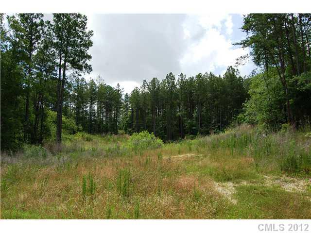 Lot 22 Lometa Road, Unit 22 York, SC 29745 - Photo 1 of 3 Gallery Image 1