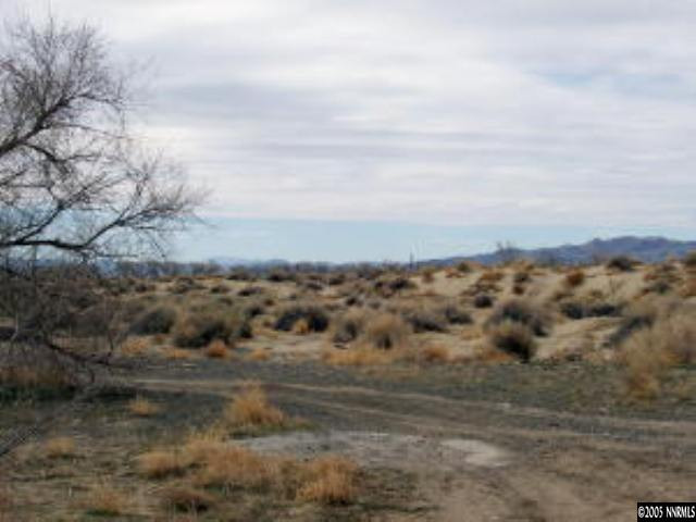 0 Southwest Reno Highway Fallon, NV 89406 - Photo 2 of 5 Photo 2