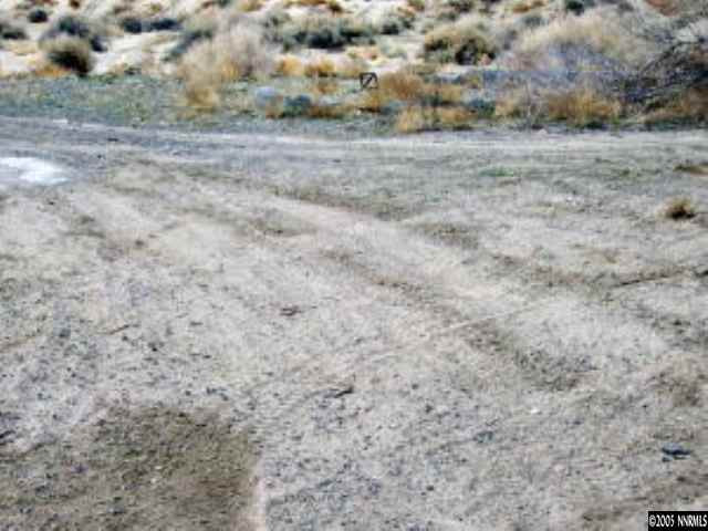 0 Southwest Reno Highway Fallon, NV 89406 - Photo 4 of 5 Photo 4
