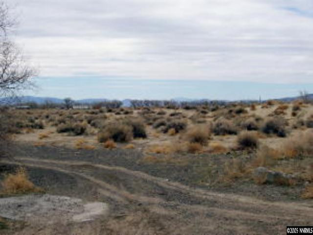 0 Southwest Reno Highway Fallon, NV 89406 - Photo 5 of 5 Photo 5