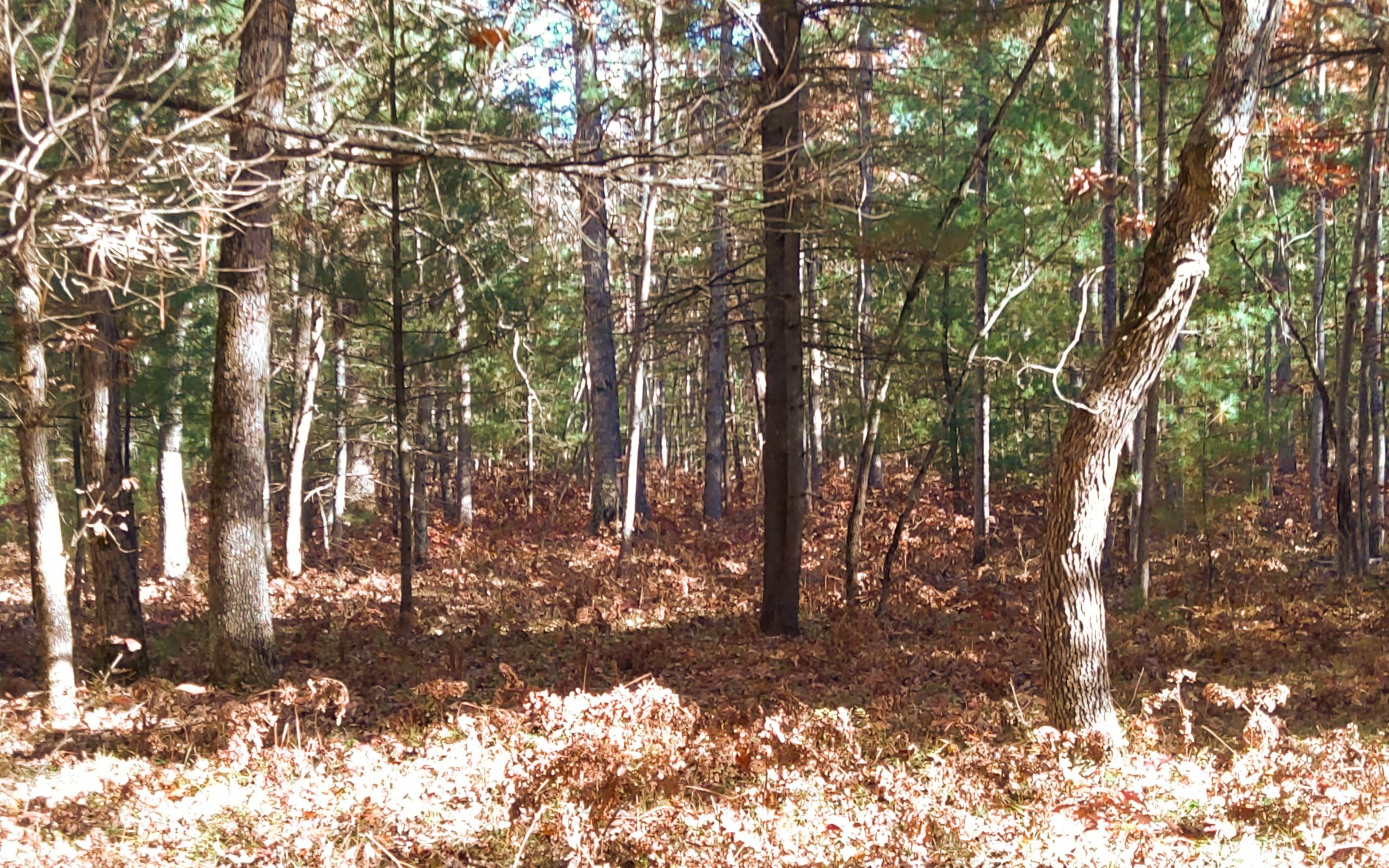 Vl Hall Creek Road Interlochen, MI 49643 - Photo 4 of 5