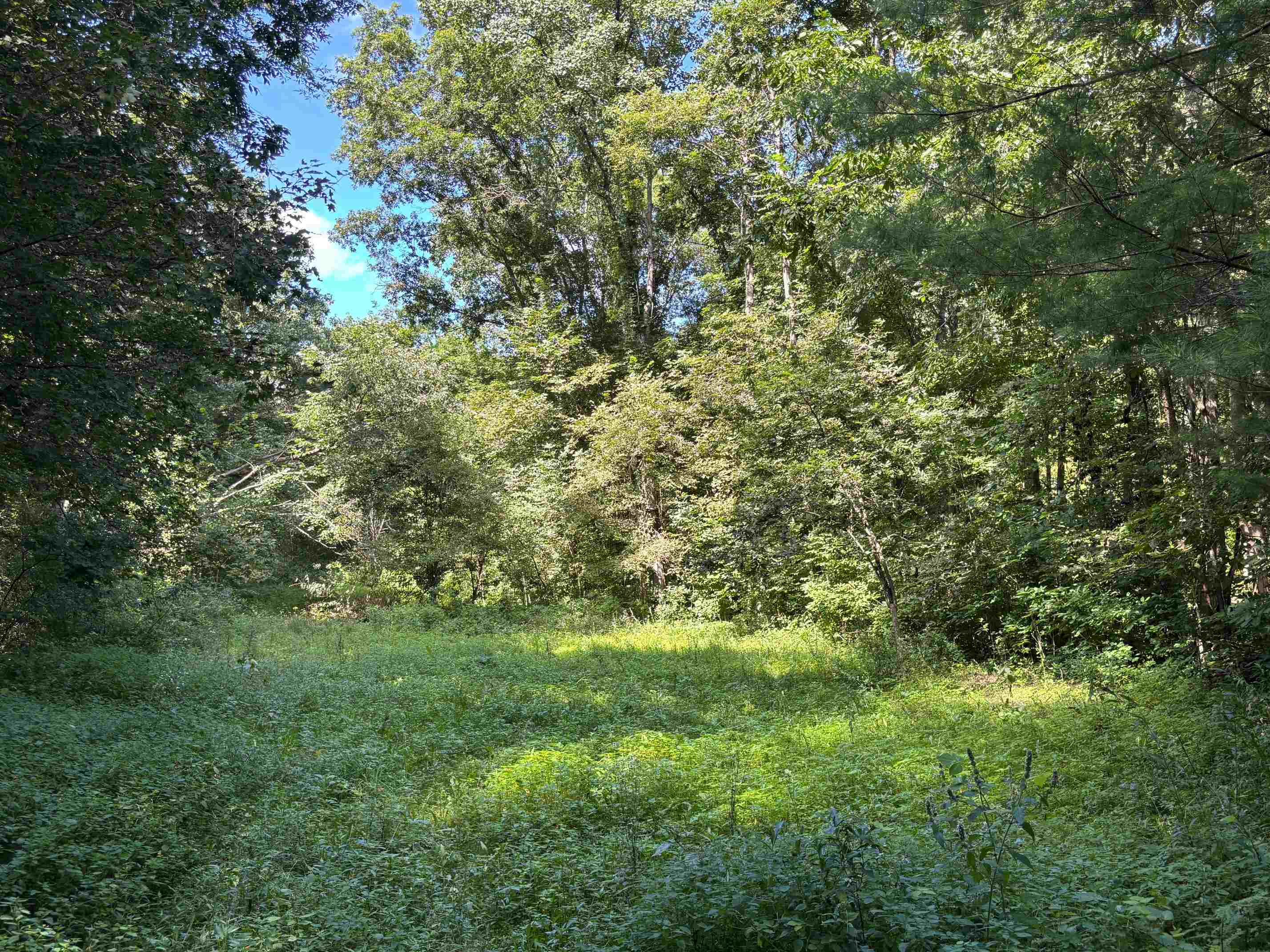 43167 Guthrie Road Gays Mills, WI 54631 - Photo 40 of 62 Gallery Image 40