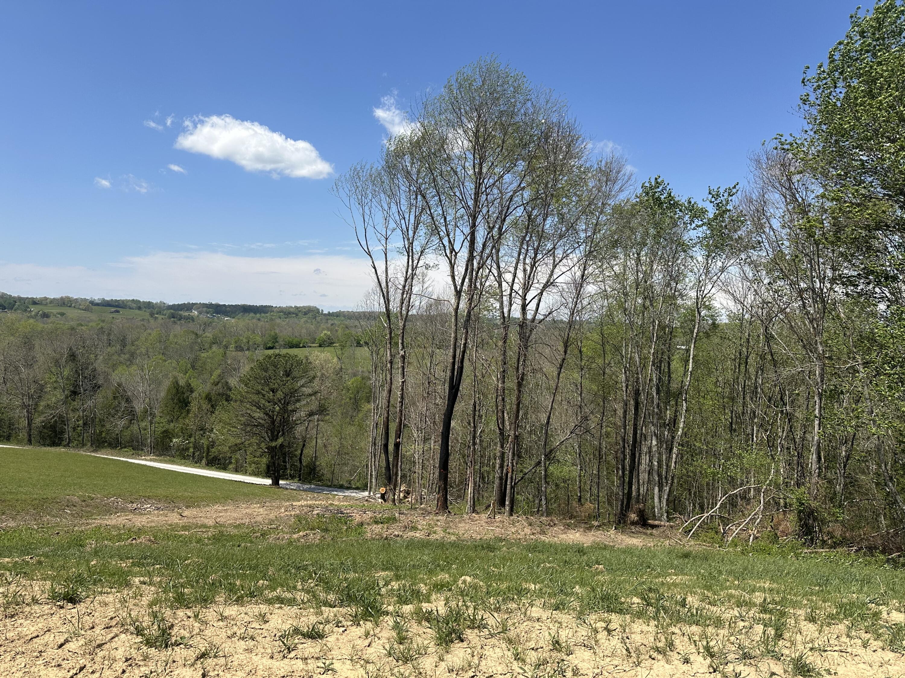 Lot 2 Baldwin Road McKee, KY 40447 - Photo 38 of 45 IMG_8528