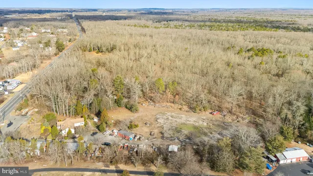 view of a tree with house in front of it