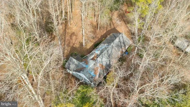 a view of a big house with a tree in the yard