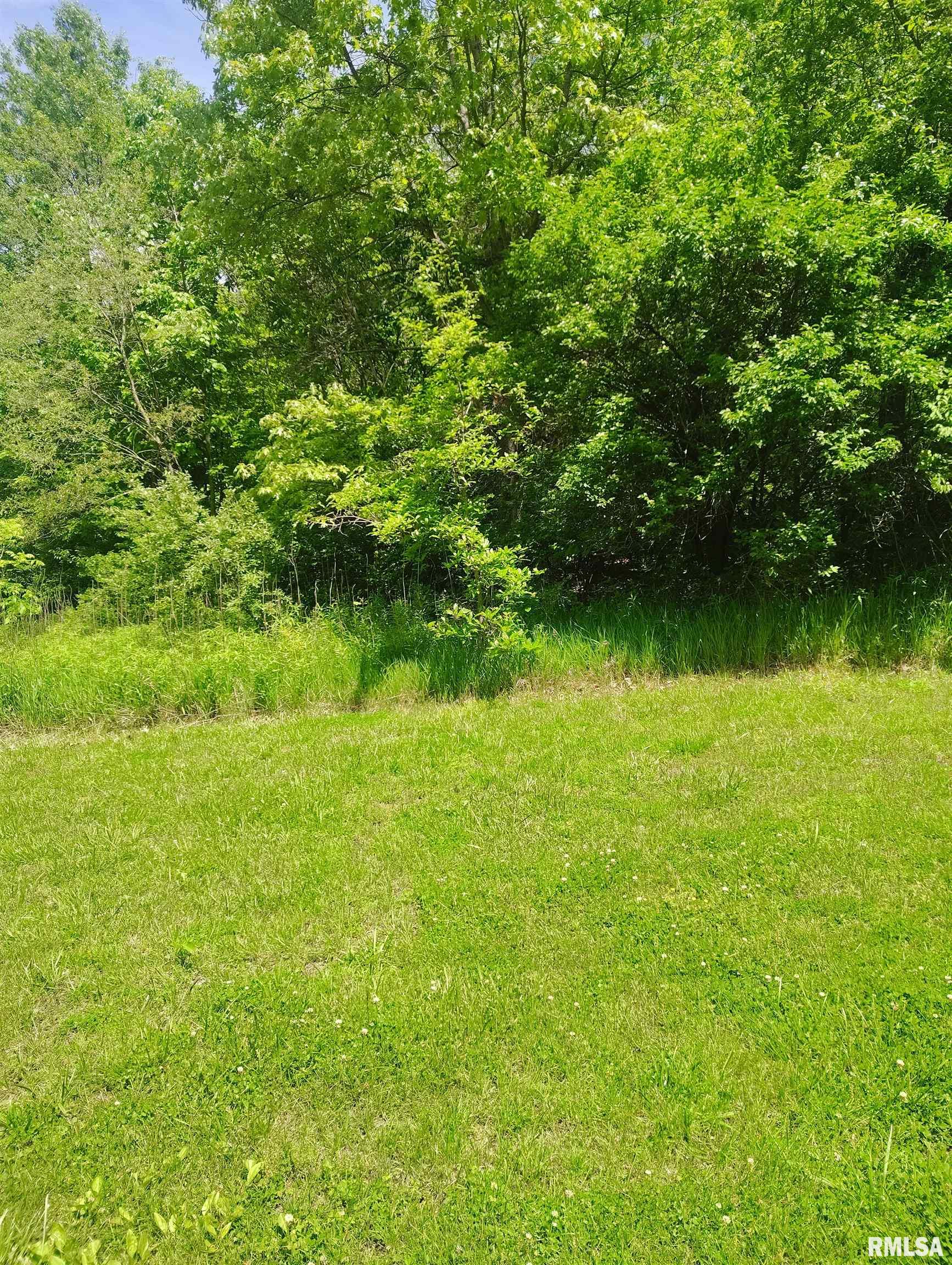 30720 North Norris Blacktop Road Farmington, IL 61531 - Photo 14 of 94