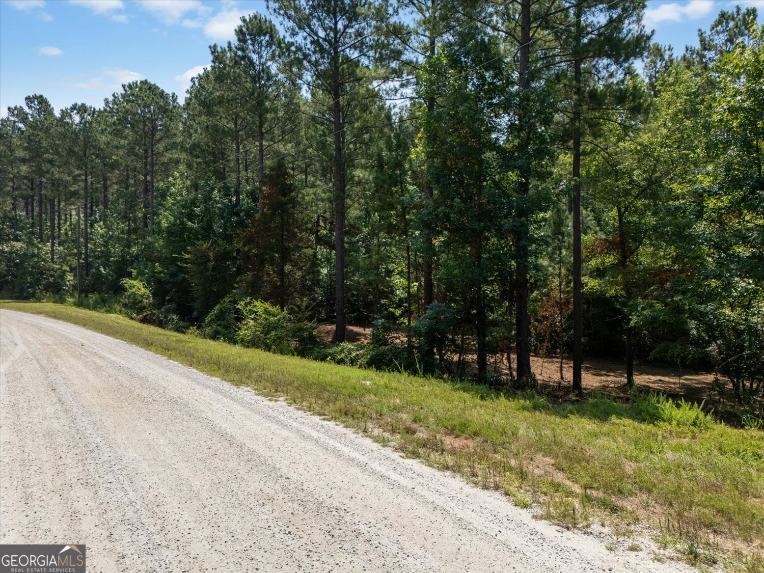 0 Hornets Bridge Road Elberton, GA 30635 - Photo 5 of 10 a view of a park with large trees