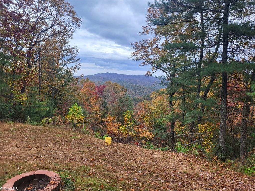 0 Summit Road Purlear, NC 28665 - Photo 11 of 17