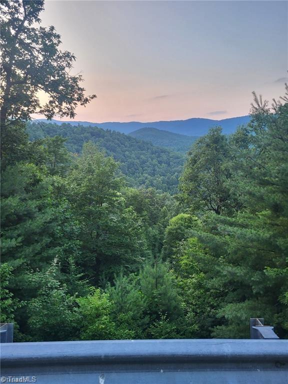 0 Summit Road Purlear, NC 28665 - Photo 12 of 17