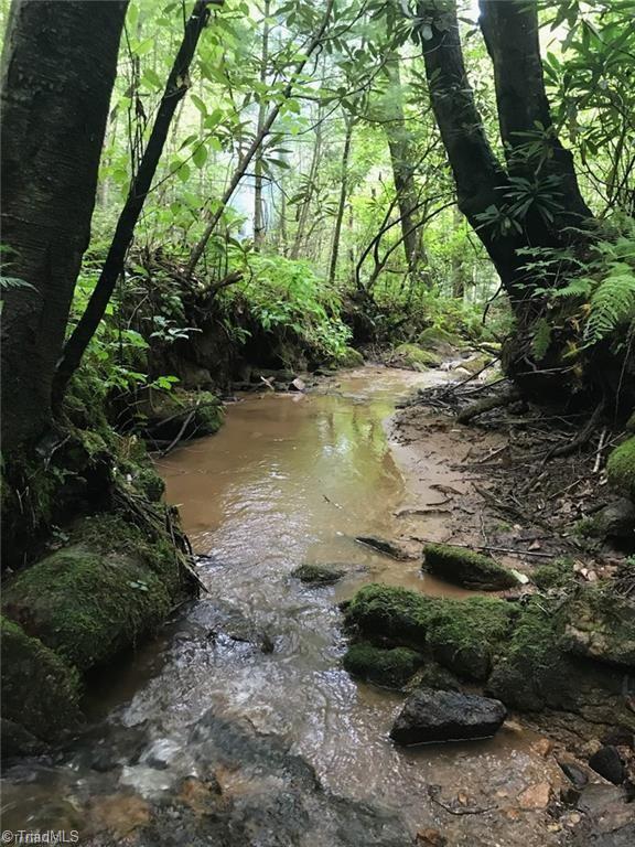 0 Summit Road Purlear, NC 28665 - Photo 4 of 17