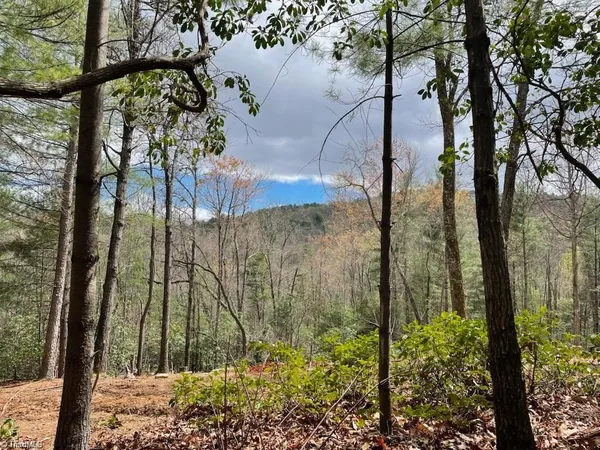 $765,000 | 0 Summit Road, Purlear, NC 28665