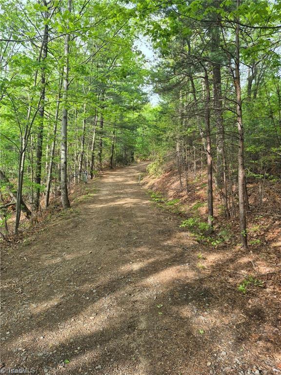 0 Summit Road Purlear, NC 28665 - Photo 9 of 17