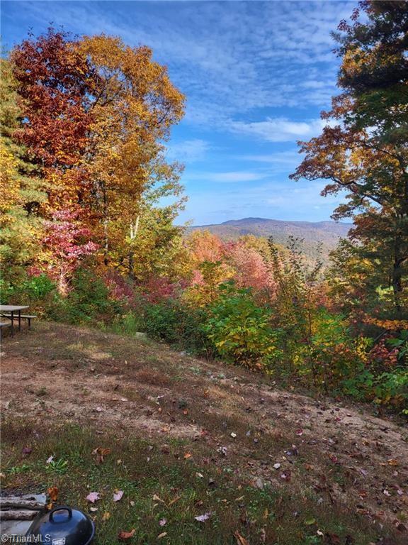 0 Summit Road Purlear, NC 28665 - Photo 10 of 17