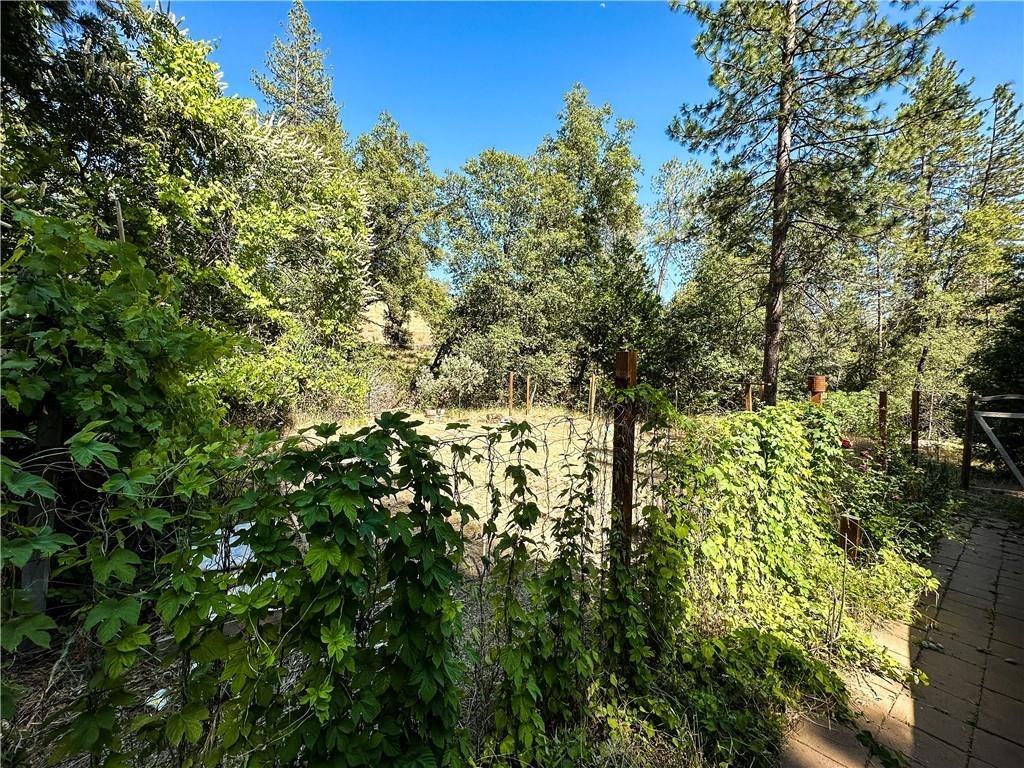 5164 Chowchilla Mountain Road Mariposa, CA 95338 - Photo 51 of 74 Fenced garden