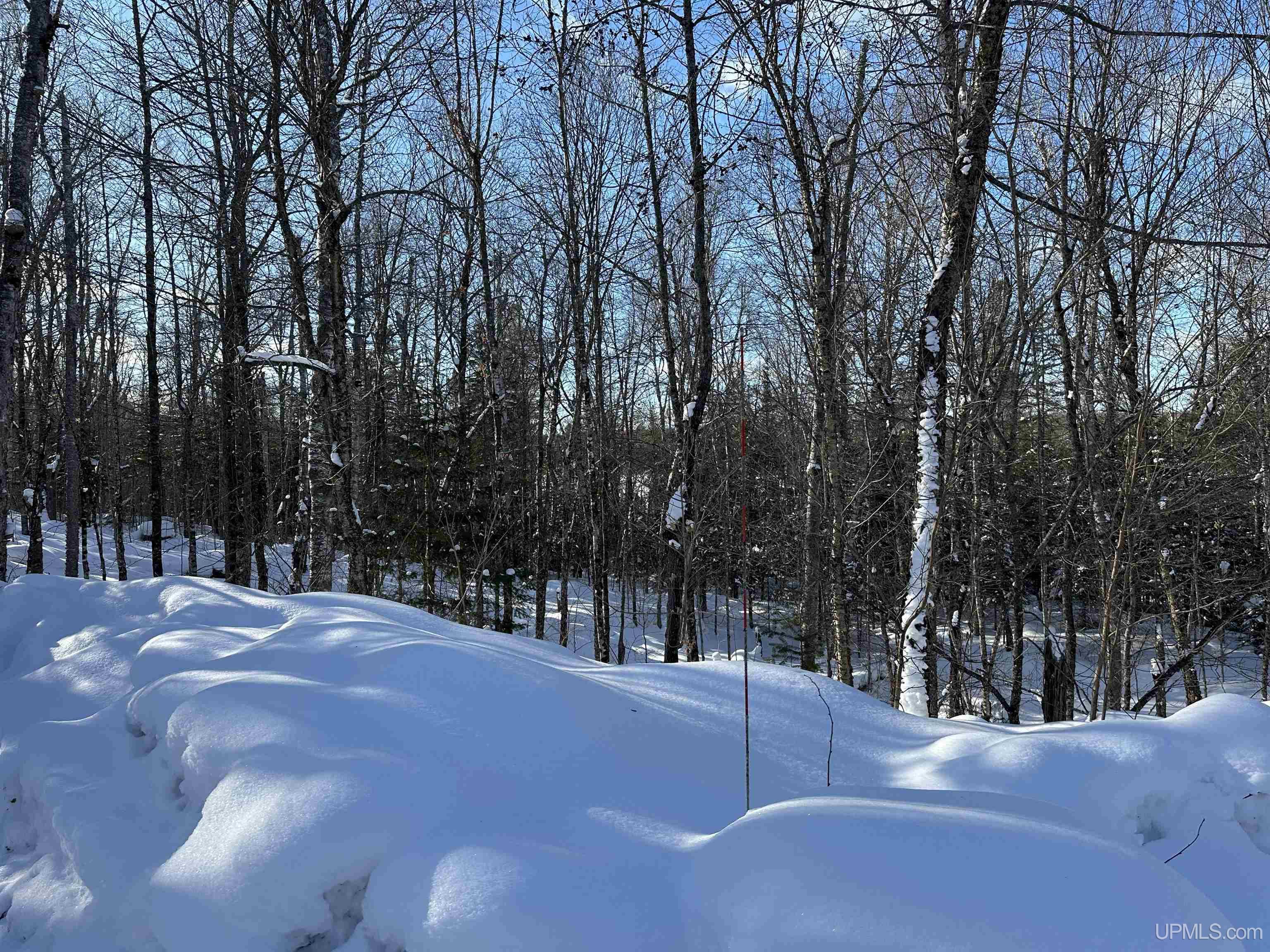 Lot 29 Secluded Point Road Michigamme, MI 49861 - Photo 20 of 21 Gallery Image 20