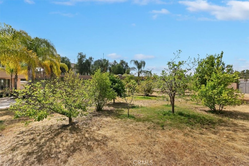 17779 Corinne Way Riverside, CA 92504 - Photo 58 of 67