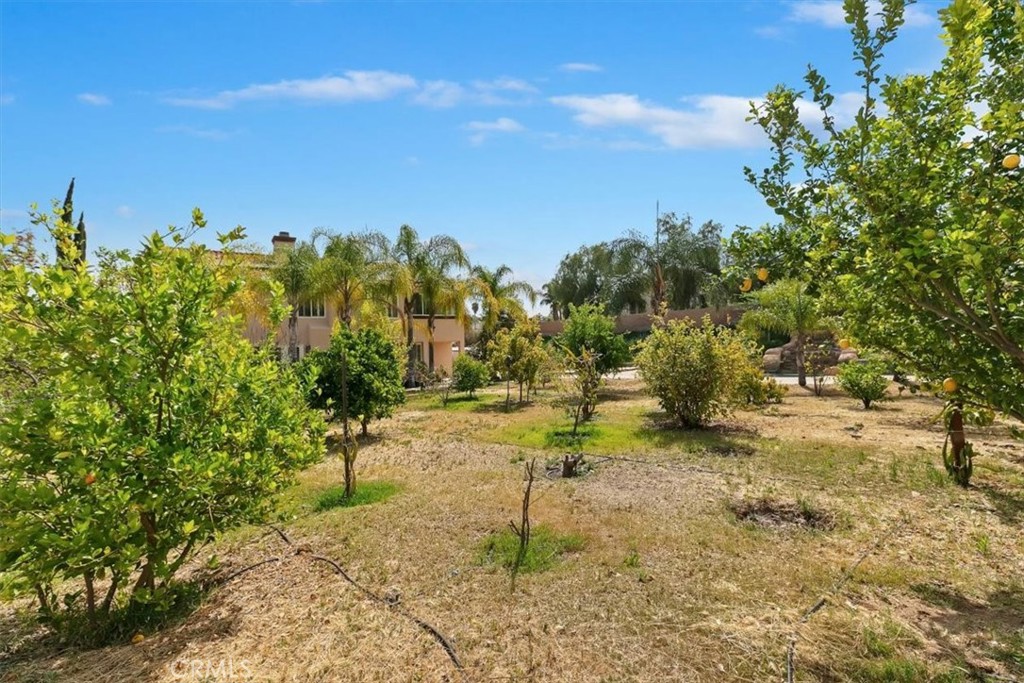 17779 Corinne Way Riverside, CA 92504 - Photo 59 of 67