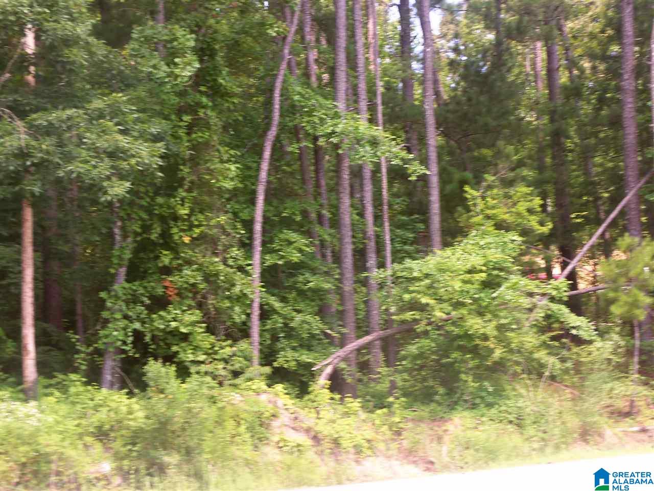 Piney Top Road, Unit 11 Warrior, AL 35180 - Photo 3 of 14