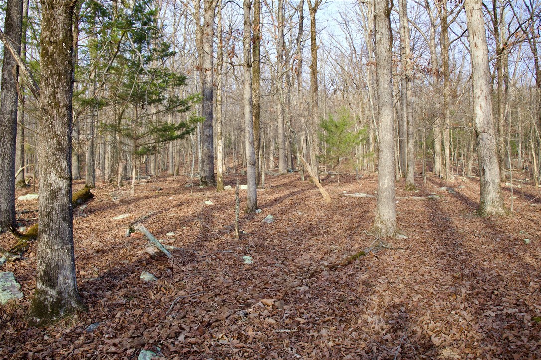 22.37 /- Acres Price Road Winslow, AR 72959 - Photo 12 of 60 Gallery Image 12