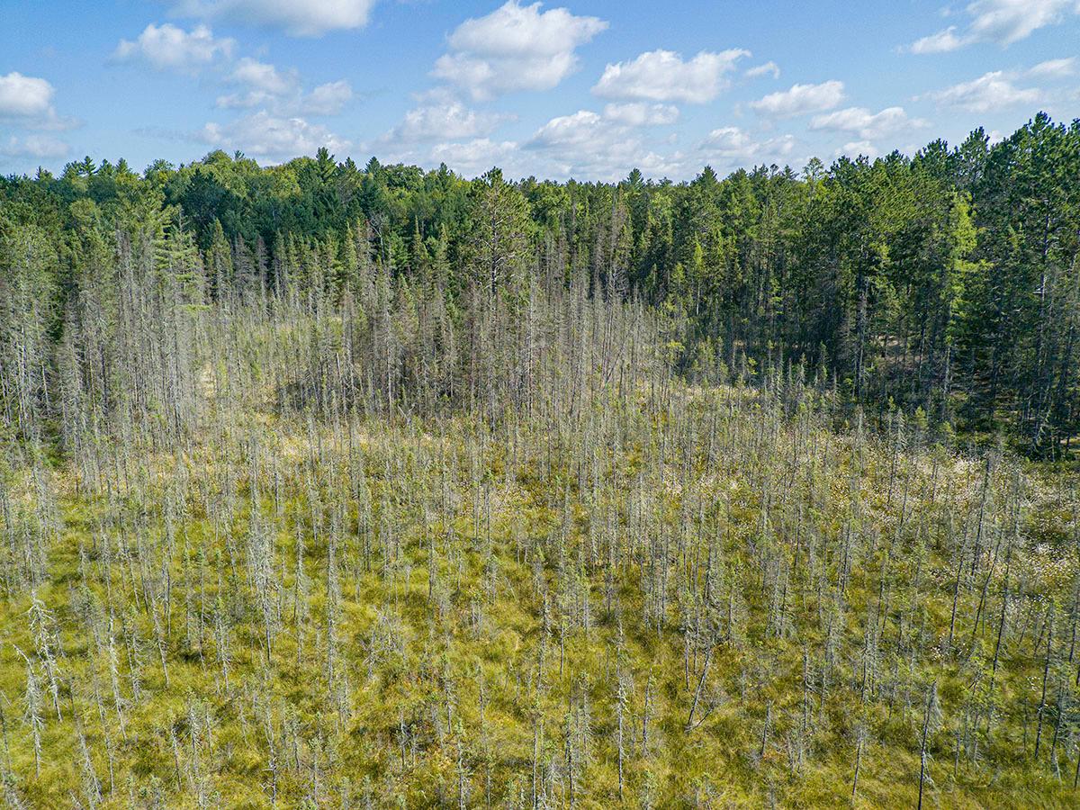 1604 East Bass Lake Road Eagle River, WI 54521 - Photo 49 of 50 Gallery Image 49