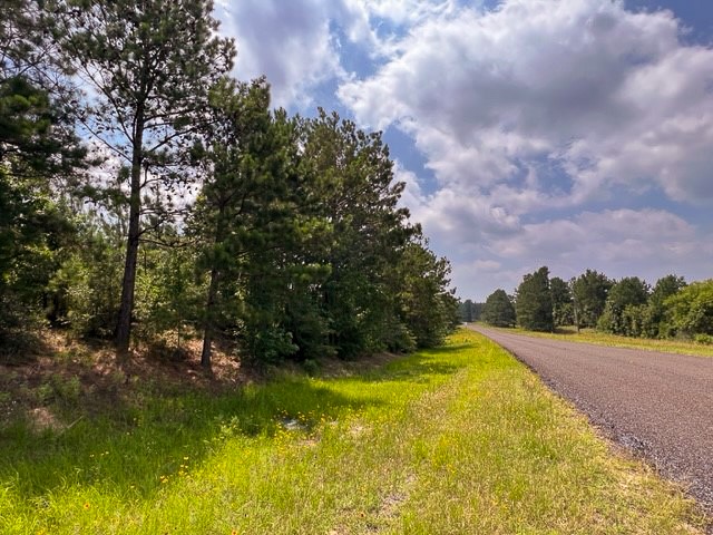 0 Fm 92 Colmesneil, TX 75938 - Photo 11 of 12