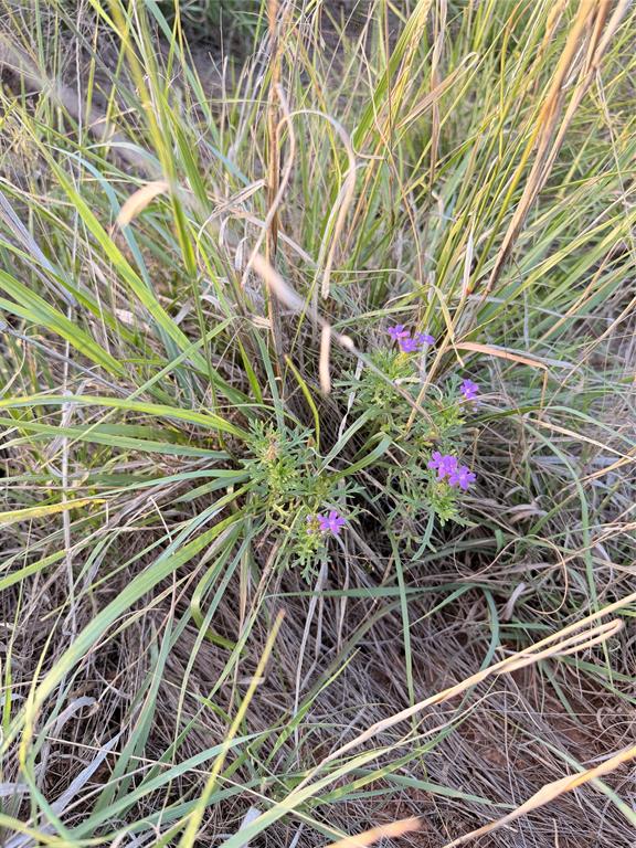 Tbd Nowell Road Quanah, TX 79252 - Photo 13 of 24