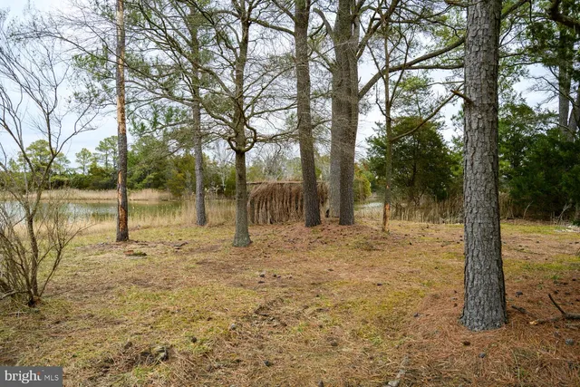 $1,100,000 | 5211 Heron Boulevard, Cambridge, MD 21613