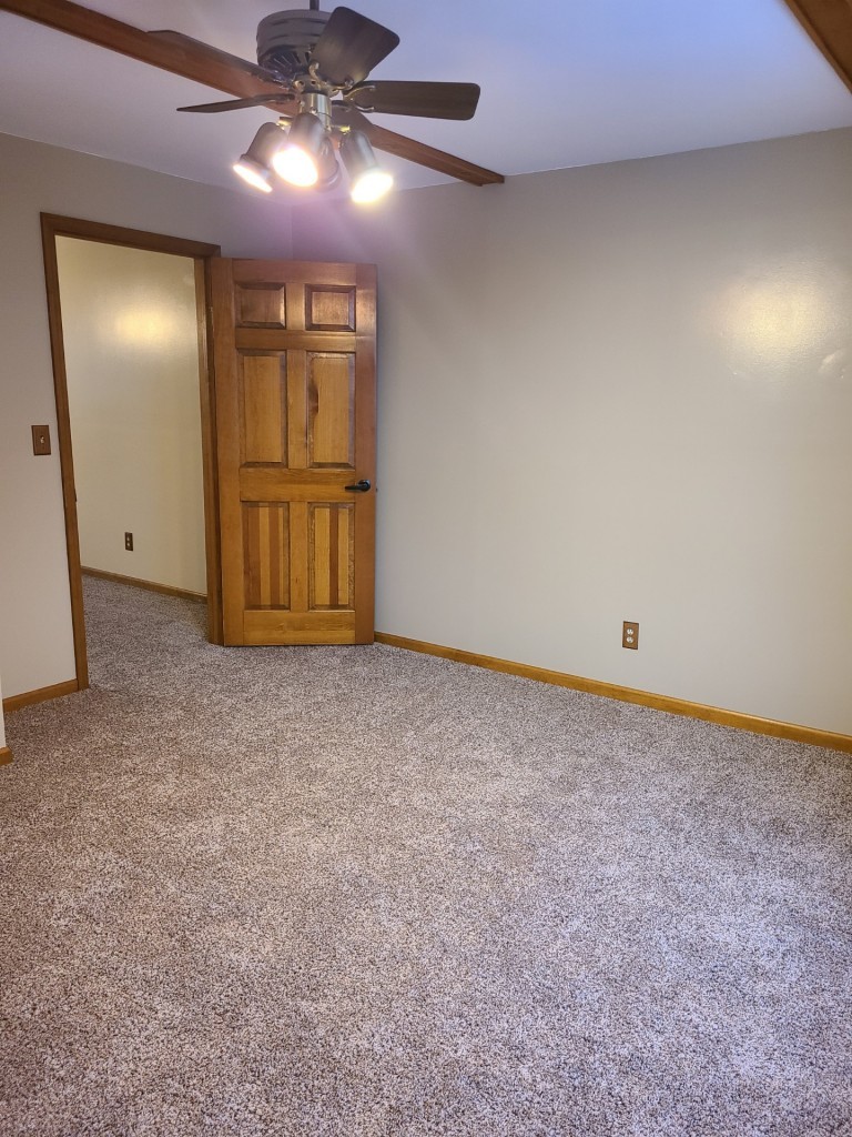300 East Erie Street Spring Valley, IL 61362 - Photo 17 of 22