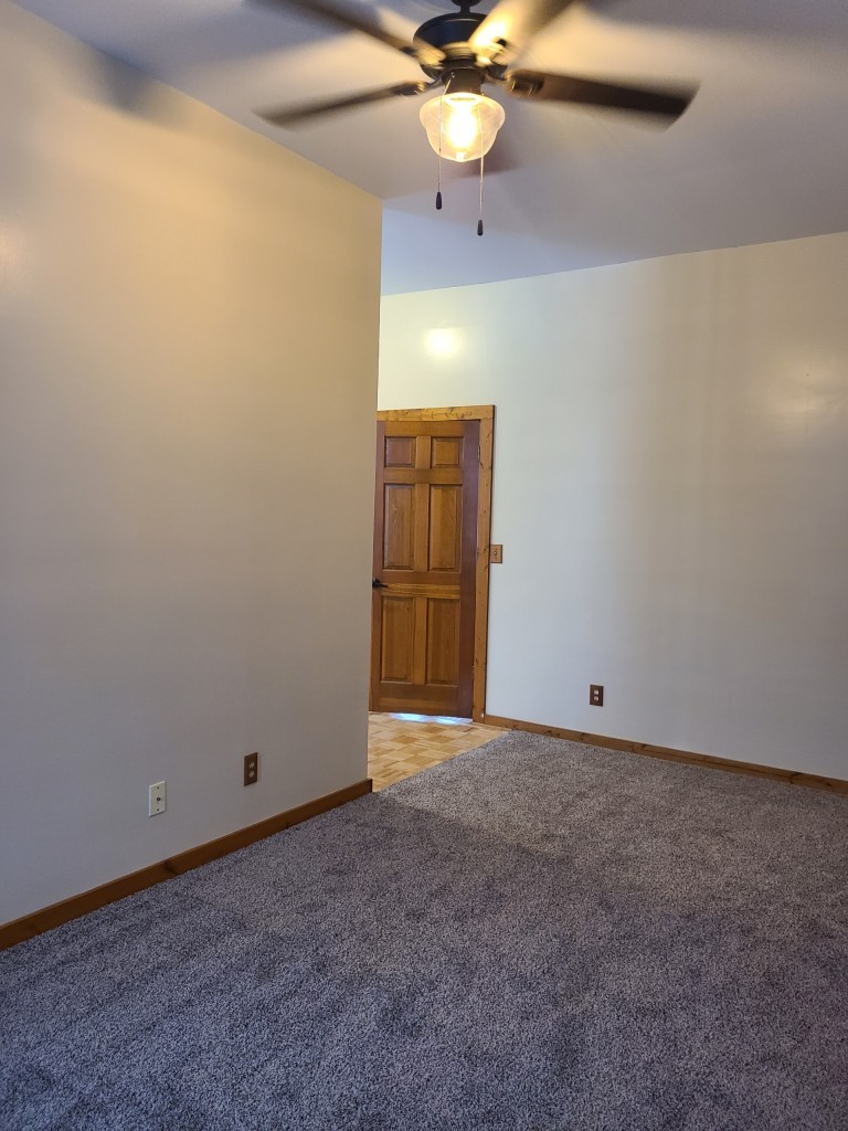 300 East Erie Street Spring Valley, IL 61362 - Photo 20 of 22