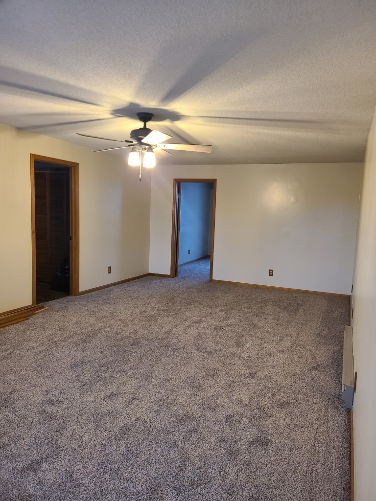 300 East Erie Street Spring Valley, IL 61362 - Photo 21 of 22