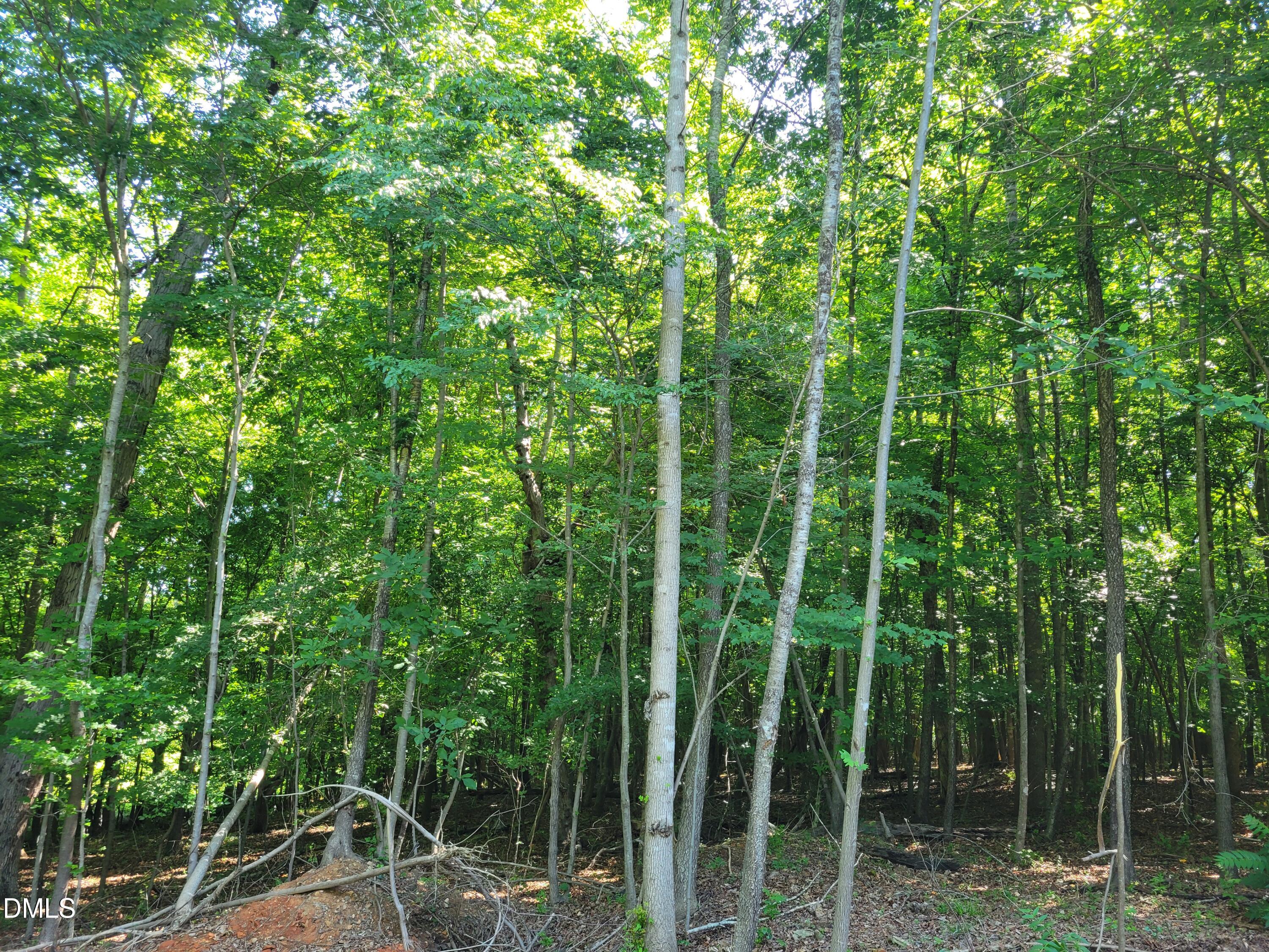0 Hicks Farm Road Staley, NC 27355 - Photo 8 of 30 20260529_103624