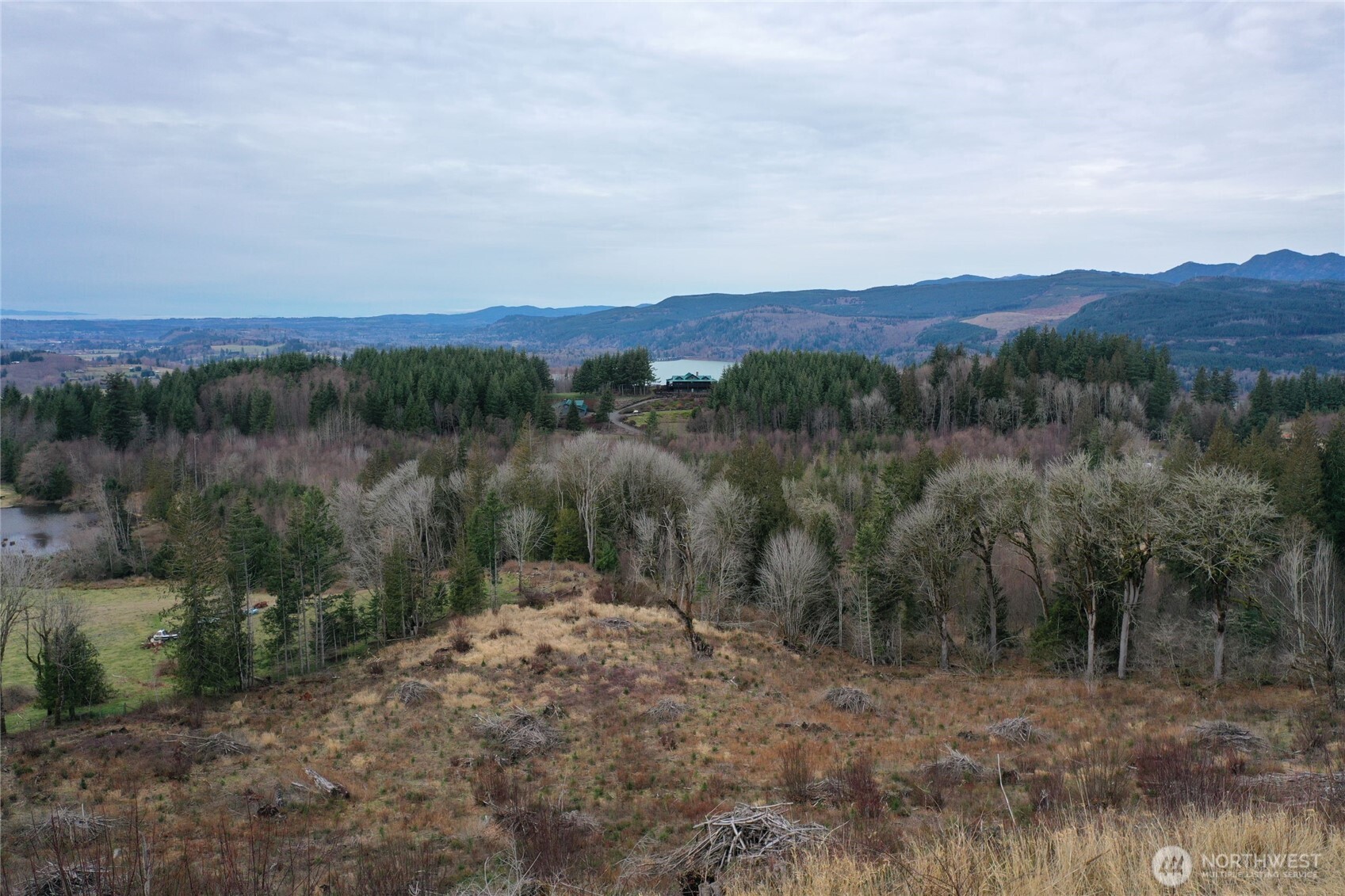 4 Hagen Road Mossyrock, WA 98564 - Photo 17 of 21 Gallery Image 17