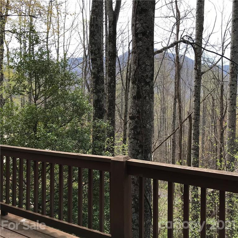 19 Sunrise Ridge Maggie Valley, NC 28751 - Photo 44 of 48 Gallery Image 44