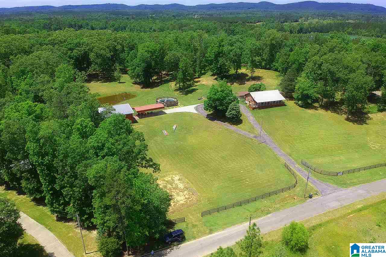400 Buck Drive Ohatchee, AL 36271 - Photo 2 of 29