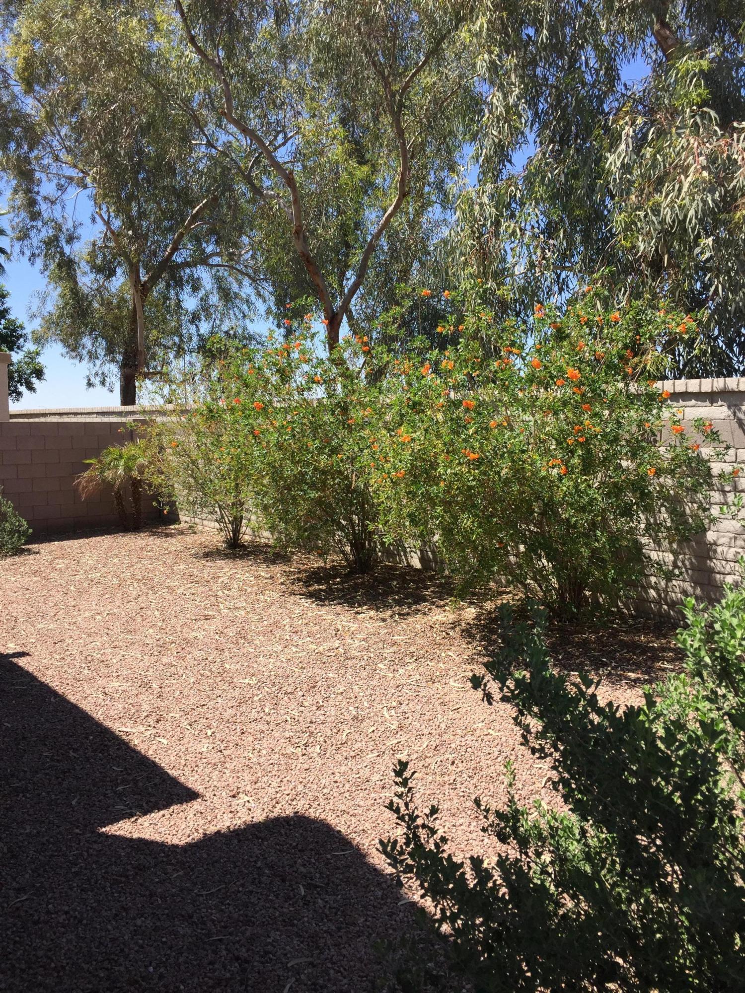 1736 North Seton Mesa, AZ 85205 - Photo 23 of 26 IMG_4700