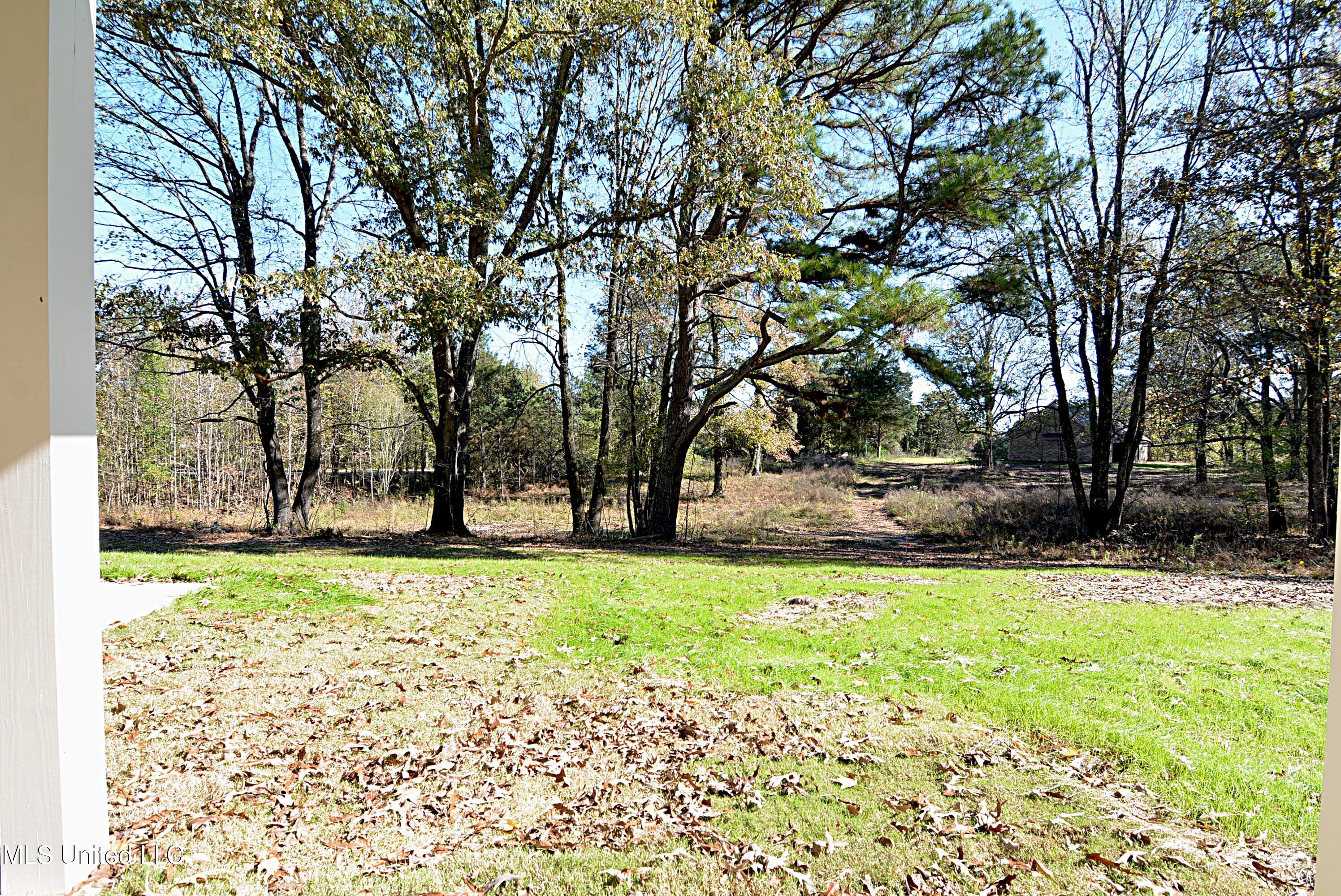 334 Tribble Road Holly Springs, MS 38635 - Photo 21 of 24 View from Front Porch