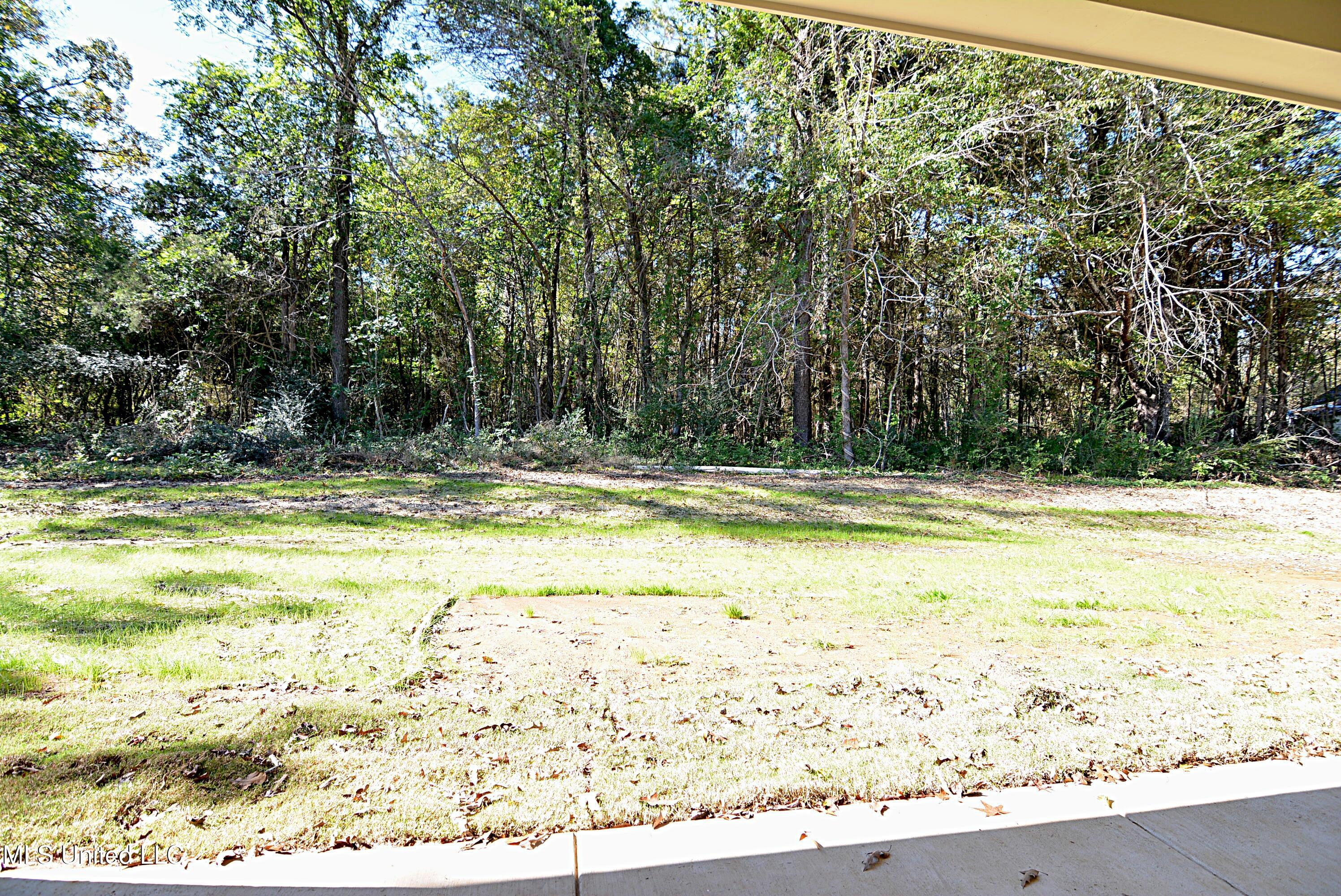 334 Tribble Road Holly Springs, MS 38635 - Photo 23 of 24 Back Yard