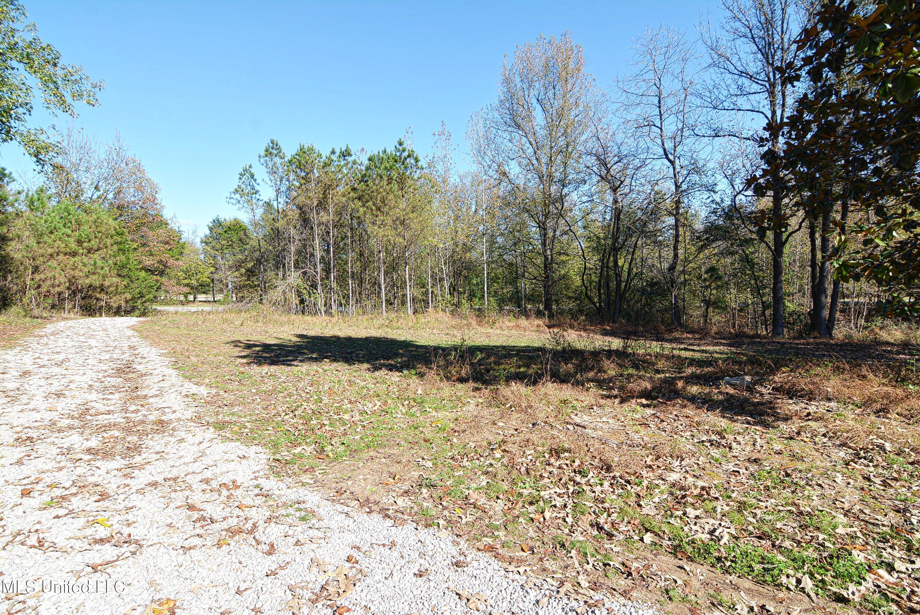 334 Tribble Road Holly Springs, MS 38635 - Photo 24 of 24 Driveway