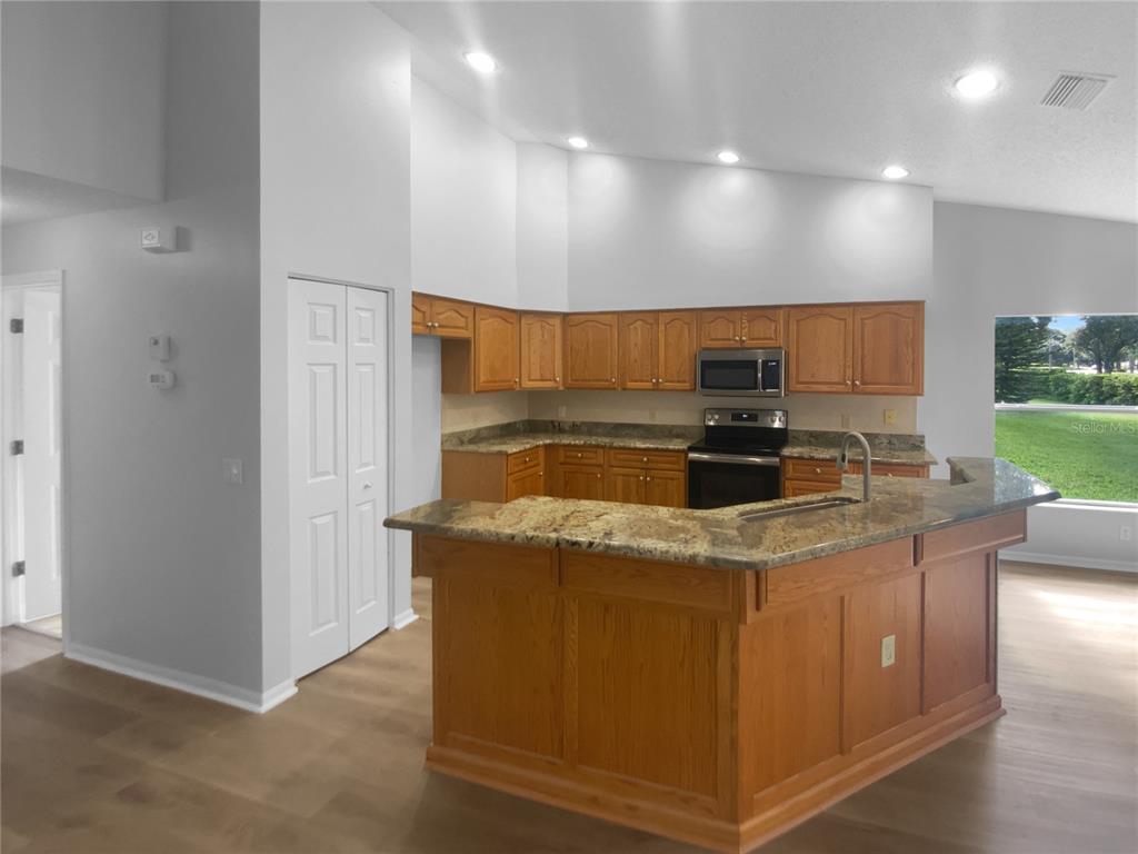 18535 Hidden Pines Way Hudson, FL 34667 - Photo 10 of 30